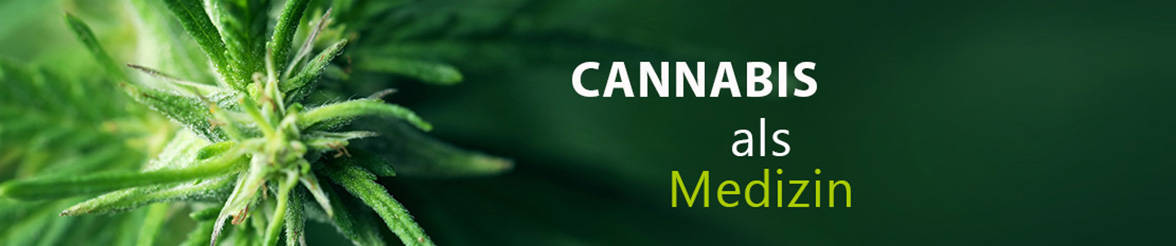 Cannabis Web-Seminarreihe