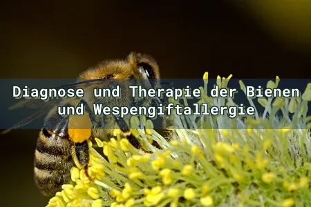 Diagnose und Therapie der Bienen und Wespengiftallergie Overlay Image