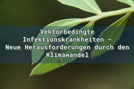 Vektorbedingte Infektionskrankheiten – Neue Herausforderungen durch den Klimawandel Overlay Image