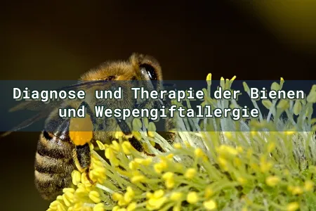 Der Allgemeinarzt:Diagnose und Therapie der Bienen und Wespengiftallergie