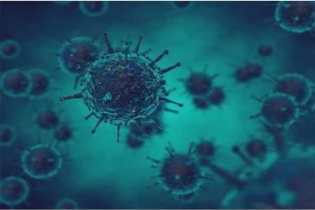 Infektionsrisiko bei Asylsuchenden und Update Reisemedizin