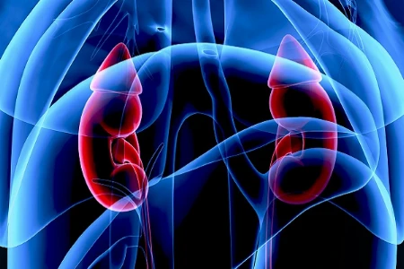 Cushing-Syndrom Teil 2: Kombinationstherapie, Bedeutung der Chronotherapie bei Hypercortisolismus