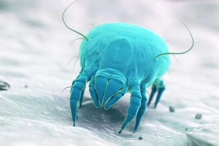 Allergenimmuntherapie im Fokus: Qualität, Quantität und klinische Schnittstellen