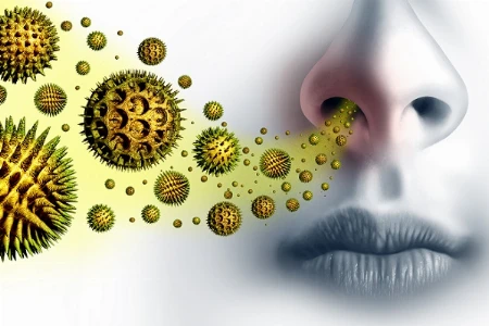 Allergologie 2026: Diagnostik, Therapie & Leitlinienkompetenz