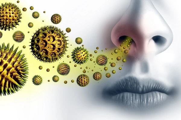 Allergologie – Fortschritte und Herausforderungen: Polysensibilisierung, HSM und TAV