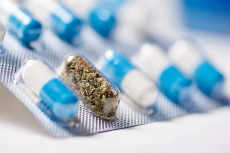 Cannabis und Cannabinoide in der Neurologie
