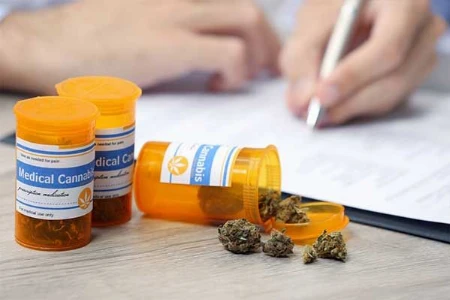 Cannabis und Cannabinoide in der Schmerzmedizin