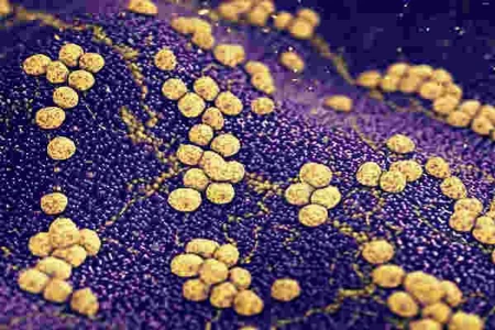 Hygienebeauftragter Arzt – Refresher Kurs Lektion 2/2 (kostenpflichtig) November 2018