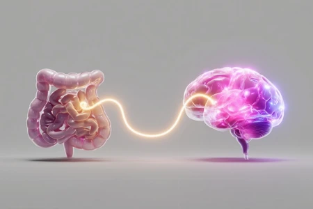 Hormone, Stress & Darm: Geschlechtsspezifische Einflüsse auf Mikrobiom und Darmbarriere