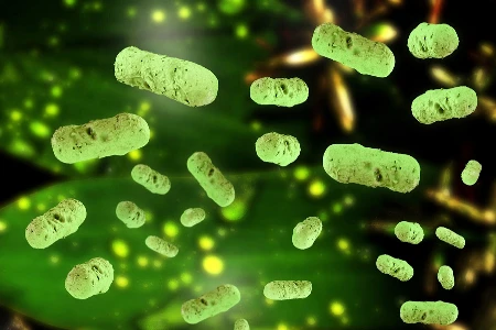 Hygienebeauftragter Arzt – Refresher Kurs Lektion 1/2 (kostenpflichtig) November 2023