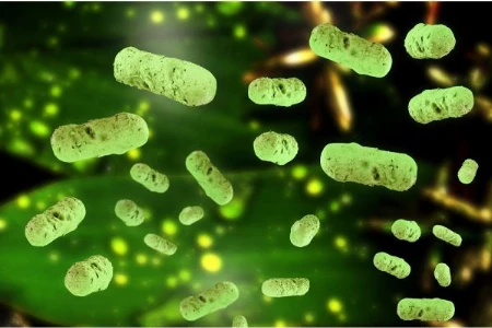 Hygienebeauftragter Arzt – Refresher Kurs Lektion 2/2 (kostenpflichtig) November 2021