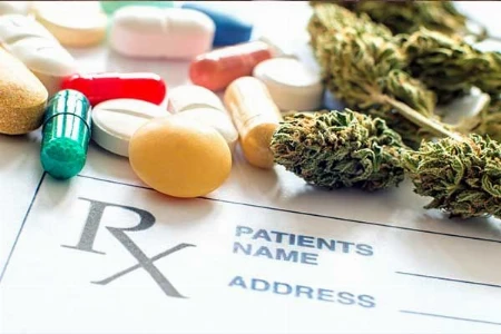 Cannabis in der Apotheke – Arbeitshilfe für Herstellung, Labor und Rezeptur
