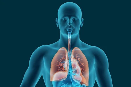 Reserve- oder nicht Reserve-Antibiotikum? Neue Optionen in der Behandlung von MRGN bei der nosokomialen Pneumonie