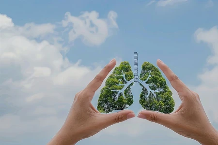 Die Klimakrise – welche Auswirkungen hat sie auf kindliche Allergien und welcher Schutz ist möglich?