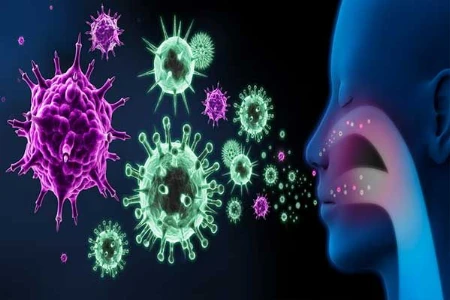 Evidenzbasierte Behandlung mit Phytotherapie bei akuten viralen Atemwegserkrankungen