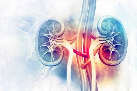 Frailty bei Patienten mit chronischer Niereninsuffizienz