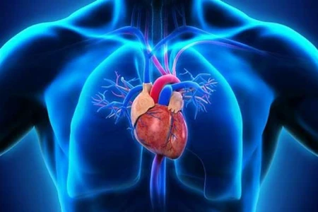 Herkömmliche und zukünftige Therapiekonzepte bei Hypertriglyzeridämie