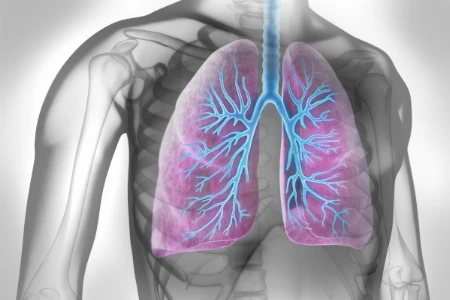 Herausforderung allergisches Asthma