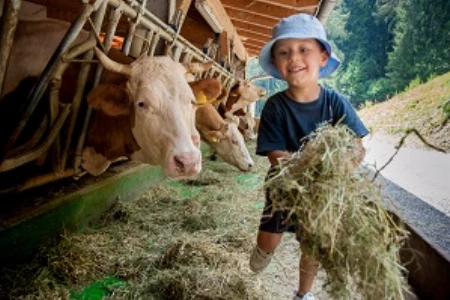 Kinder im Fokus: Trigger der allergischen Genese und präventiv-therapeutische Ansätze