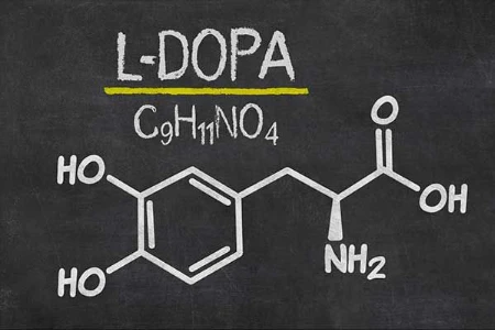 Parkinson und L-Dopa-Therapie: entbehrlich, gefährlich oder Goldstandard